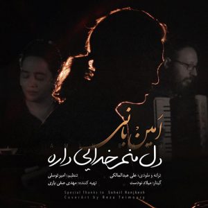 دانلود آهنگ جدید امین بانی به نام دل منم خدایی داره