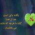 دانلود آهنگ تو باغ زندگی من تو باغبونی