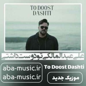 دانلود آهنگ علی عبدالمالکی تو دوست داشتی