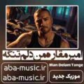 امیر مقاره من دلم تنگه