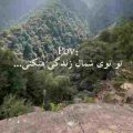 آی مریم آی مریم شمالی ارکستی