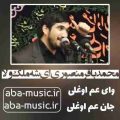 محمدباقر منصوری ای شه ملک ولا