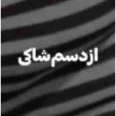 آهنگ از دستم شاکی جز آشوب نیاوردم براش