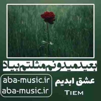 دانلود آهنگ بعید میدونم مثلتم بیاد دانلود آهنگ بعید میدونم مثلتم بیاد