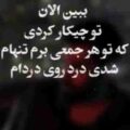 ببین الان تو چیکار کردی که تو هر جمعی برم تنهام گیتار