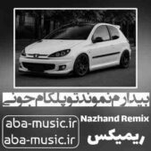 دانلود آهنگ بیدارم نموند تو پلکام جونی ریمیکس