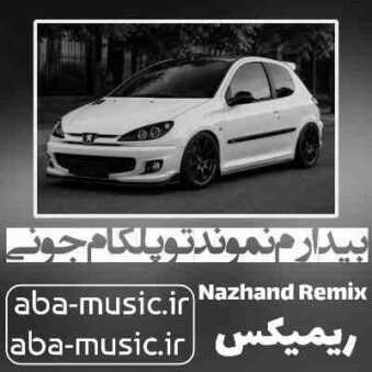 دانلود آهنگ بیدارم نموند تو پلکام جونی ریمیکس