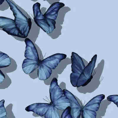 آهنگ بی کلام اینستاگرام