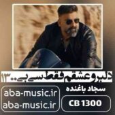 دانلود آهنگ دلبرو عشقم فقط سی بی 1300