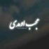 محسن چاوشی - عجب اومدی