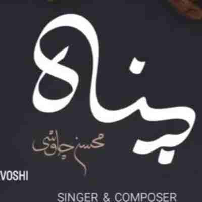 محسن چاوشی پناه
