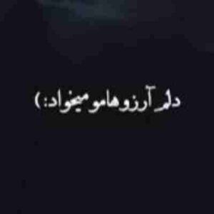 دانلود آهنگ دلم آرزوهامو میخواد دلم میخواد دیگه بس کنم ریمیکس