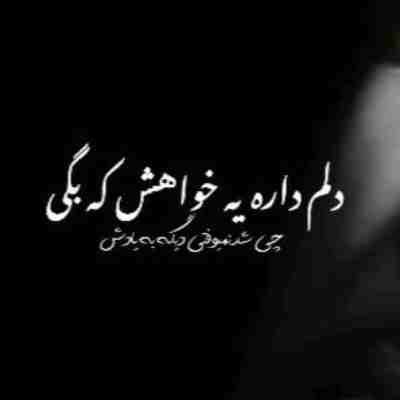 دلم داره یه خواهش که بگی چی شد نمیوفتی دیگه به یادش ریمیکس