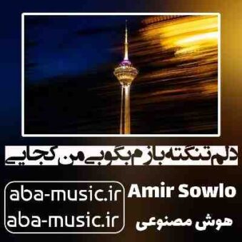 دانلود آهنگ دلم تنگته بازم بگو بی من کجایی ریمیکس با صدای زن