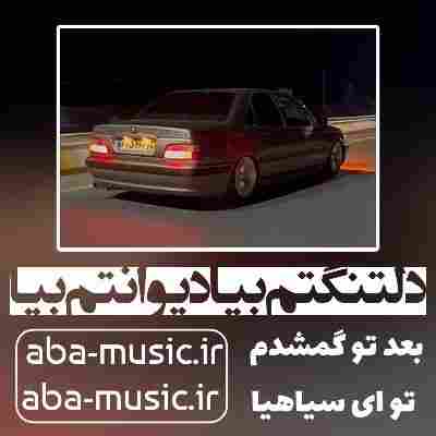 آهنگ دلتنگتم بیا دیوانتم بیا بعد تو گم شدم