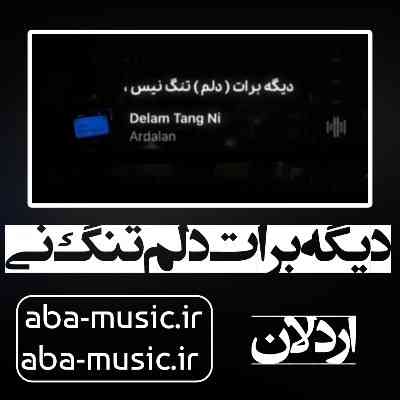 آهنگ دیگه برات دلم تنگ نی یه ذره حس تو قلبم نی