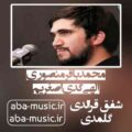 محمدباقر منصوری الهی گدی اصغریم شفق قرالدی گلمدی