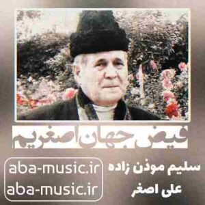 دانلود نوحه سلیم موذن زاده فیض جهان اصغریم