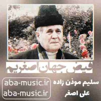 دانلود نوحه سلیم موذن زاده فیض جهان اصغریم