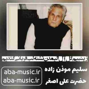 دانلود نوحه سلیم موذن زاده زینبیم گل آل الیمدن تشنه لب قربانی گتدیم دانلود نوحه سلیم موذن زاده زینبیم گل آل الیمدن تشنه لب قربانی گتدیم