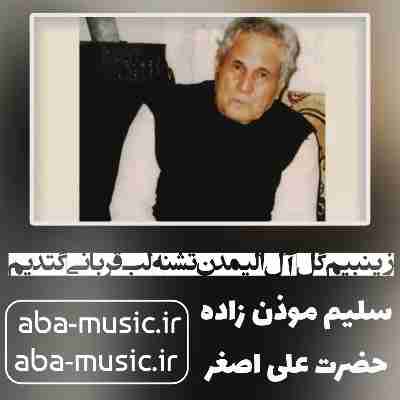 سلیم موذن زاده زینبیم گل آل الیمدن تشنه لب قربانی گتدیم