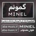 آهنگ گمونم یه روزی دلم پای عشقت بمیره با صدای زن