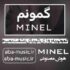 دانلود آهنگ گمونم یه روزی دلم پای عشقت بمیره با صدای زن
