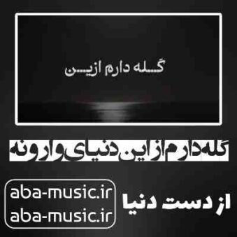 دانلود آهنگ گله دارم از این دنیای وارونه با صدای زن