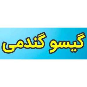 دانلود آهنگ گیسو گندمی بداخلاق ریمیکس