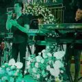 گلپری جونم پری مسلم فتاحی ریمیکس