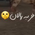 حمید چاخان خر به پالان چند روزه که کجایی