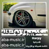 دانلود آهنگ میکنم پرواز نوک قله