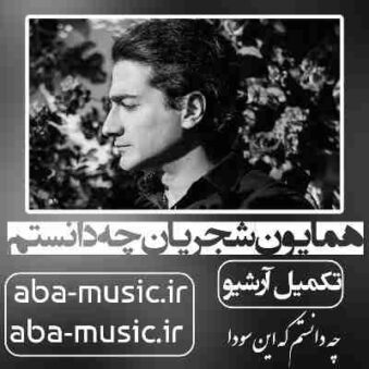 دانلود آهنگ همایون شجریان چه دانستم که این سودا