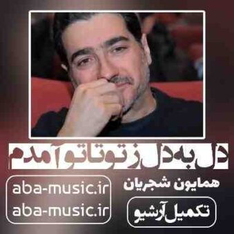 دانلود آهنگ همایون شجریان دل به دل