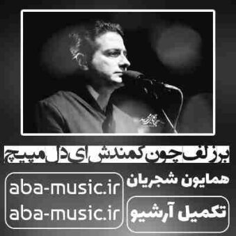 دانلود آهنگ همایون شجریان بر زلف چون کمندش ای دل مپیچ