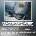 آهنگ من دیگه ضد ضربه شدم با صدای زن