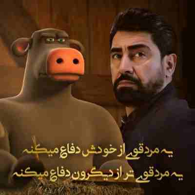 محمدرضا علیمردانی من همونم که یه روز