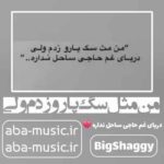 آهنگ - من مثل سگ پارو زدم