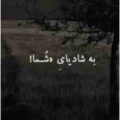 من شک دارم به شادیای شما ریمیکس