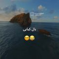 آهنگ مشروب و مزه بال کبابی