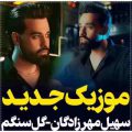 سهیل مهرزادگان گل سنگم