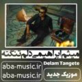 میثم ابراهیمی دلم تنگته