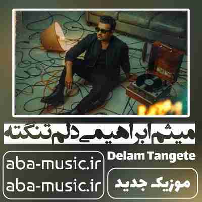 میثم ابراهیمی دلم تنگته