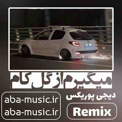 آهنگ میگیرم از گل کام ریمیکس بیگ شگی