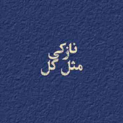 نازکی مثل گل قلبت با منه ریمیکس