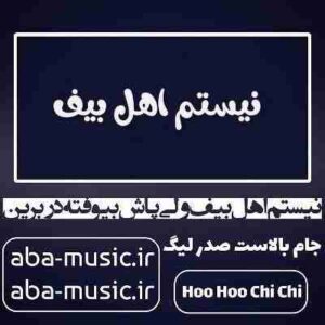 دانلود آهنگ نیستم اهل بیف ولی پاش بیوفته در برین