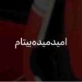 امید میده بیتام حیف که حبسم تو این زندان
