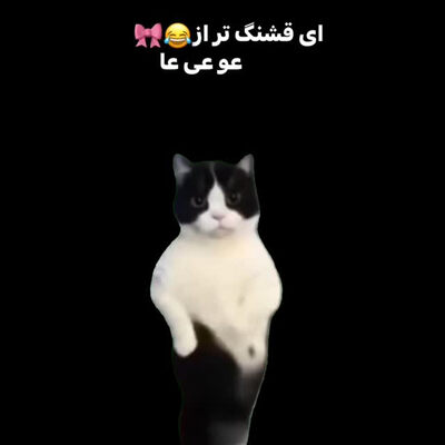 آهنگ ای قشنگ تر از عو عی عا آهنگ ای قشنگ تر از عو عی عا