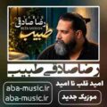 رضا صادقی طبیب