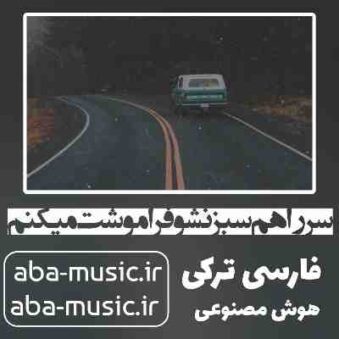 دانلود آهنگ سر راهم سبز نشو فراموشت میکنم با صدای زن دانلود آهنگ سر راهم سبز نشو فراموشت میکنم با صدای زن